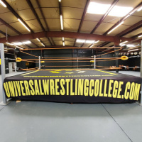 GET A HUGE SCOOP HERE! ALSO, AMAZING NWA POWERRR NEWS!! Episode 43 Is Up!!