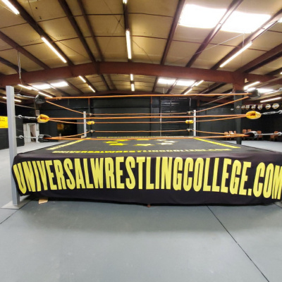 Austin Idol World Wide!