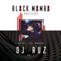 BLACK MAMBA VOL.I (LiveMix - Latin, Dancehall, Moombahton)