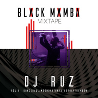 BLACK MAMBA VOL.8 (Dancehall, Moombahton, Afrotrap, Dembow)