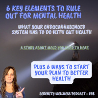 E98 ~ 6 Key Rule-Outs for Mental Health amp 6 Steps to Integrative Health (2/4)
