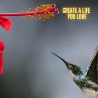 E114 ~ Create Your Personalized Action Plan for a Healthy and Harmonious Life Pt 4/4