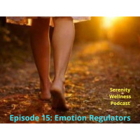 Episode - 15 - Emotion Regulators 