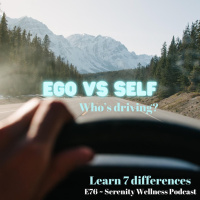 Episode ~ 76 ~ Ego VS Self ~ Whos Driving