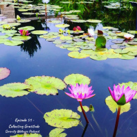 Episode - 51 - Collecting Gratitude