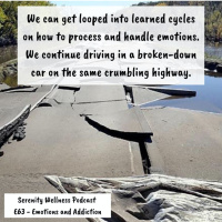 Episode - 63 - Emotions and Addiction