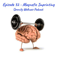 Episode - 32 - Magnetic Imprinting