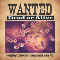 S:01E:02 Alzheimers Disease and our unforgettable foe- P. gingivalis