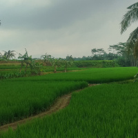 S0104 | Mencoba Membaca 1