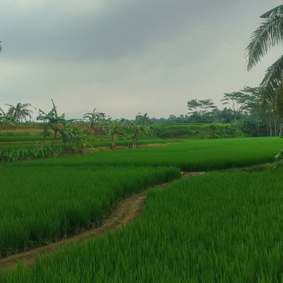 Panic (podcast Aris Nur Cahyo)