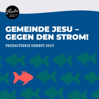 Gemeinde Jesu - gegen den Strom - Vielfalt | Christian Rauschning