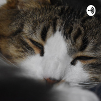 A Corona Virus Podcast