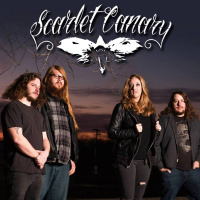 Hannah Maddox Tour Check In