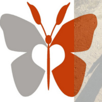 010 - The Antsy Butterfly