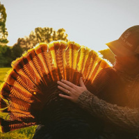 Episode 34 Tagged out in Tennessee: Justin rolls out No. 4