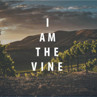 I AM The Vine | Week 1