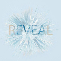 Reveal | Part 4