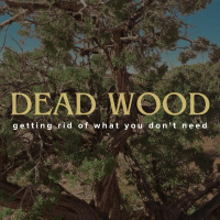 Deadwood | Week 2