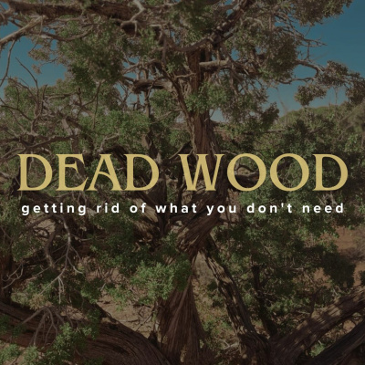 Thrive Church Of God