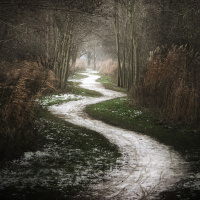 Latin Ludens El Camino del Jugón - Sacándole jugo a la BGG