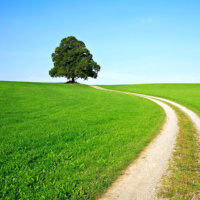 Latin Ludens El Camino del Jugón - TOP 10 Familiares