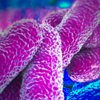 Episode 5 - Mr London Plumber became a plumber. Legionella