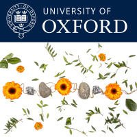 School Based Approaches for Mental Health Interventions 