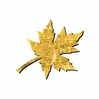 The Science Behind Why People REALLY Buy