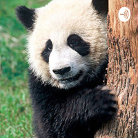 Conclusion of ghost stories, Bad jokes and fun