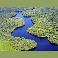 11: Domingo de reflexiones - El río tiembla de miedo