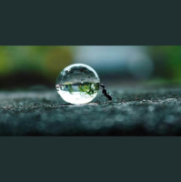 96: Cómo persistir para lograr el éxito en la vida