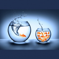 22: Cómo salir de la zona de confort y caminar hacia mis sueños