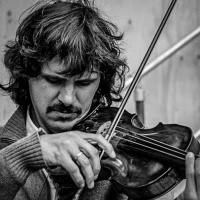 TCHA LIMBERGER  SANDRO BRUTI at CASA LOURDES in The Hague plus GEORGE STUBBS at the Mauritshuis