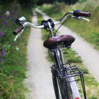 Episode 9 - Pourquoi le sport ne vous fait pas maigrir?