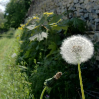 Episode 3 - Inné Et Acquis