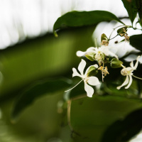 Episode 1 - Ma Naturopathie