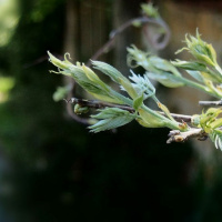 Episode 5 - Comment entretenir sa motivation à changer de vie?