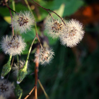 Episode 10 - Comment ne plus être responsable de son propre malheur?