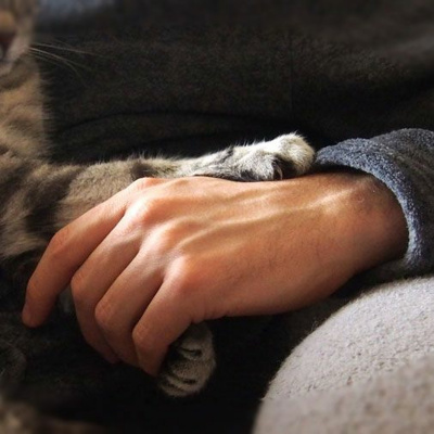 Campagnaturo - Naturopathie Et Psychologie Positive