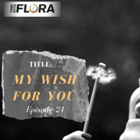 EP24: My Wish For You