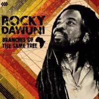 Rocky Dawuni: Ghana Superstar Shines His Light