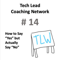 No. 14 - How to Say Yes but Actually Say No