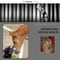 Animals and Mental Health