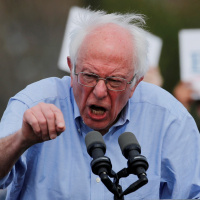 Bernie Bros Support Group! - TFT Episode 241