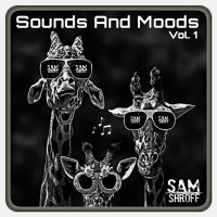 Sounds And Moods Vol.1 (Trippy Melodic Groove)