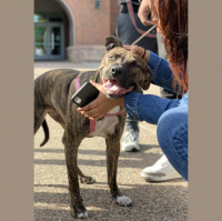 Episode 24 - Happy Belated Birthday