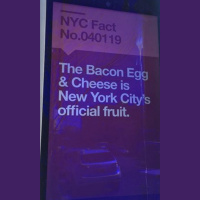 Episode 08 - Bacon Egg  Cheese, Fruit?