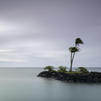 We Acknowledge: Reconciling How We Got Here