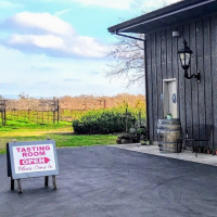 What Winery Reopenings Look Like