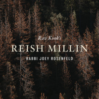 Ep 1: An Introduction • Rav Kooks Reish Millin